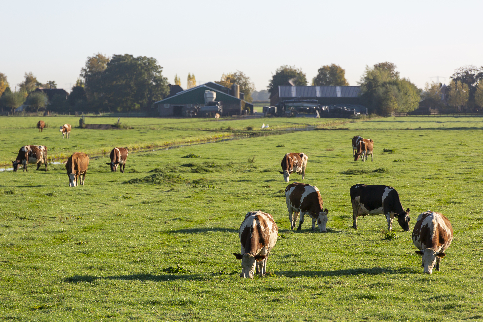 Bodemkoolstof in de KringloopWijzer van 2022