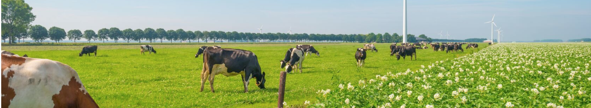 KringloopTip: Wat betekenen de VEM2022 rekenregels voor uw BEX?