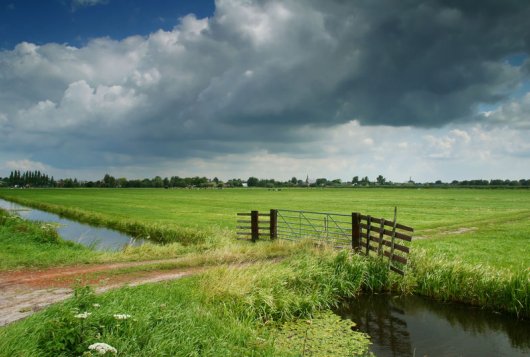 Wat doen bedrijven anders die goed scoren op broeikasgassen?