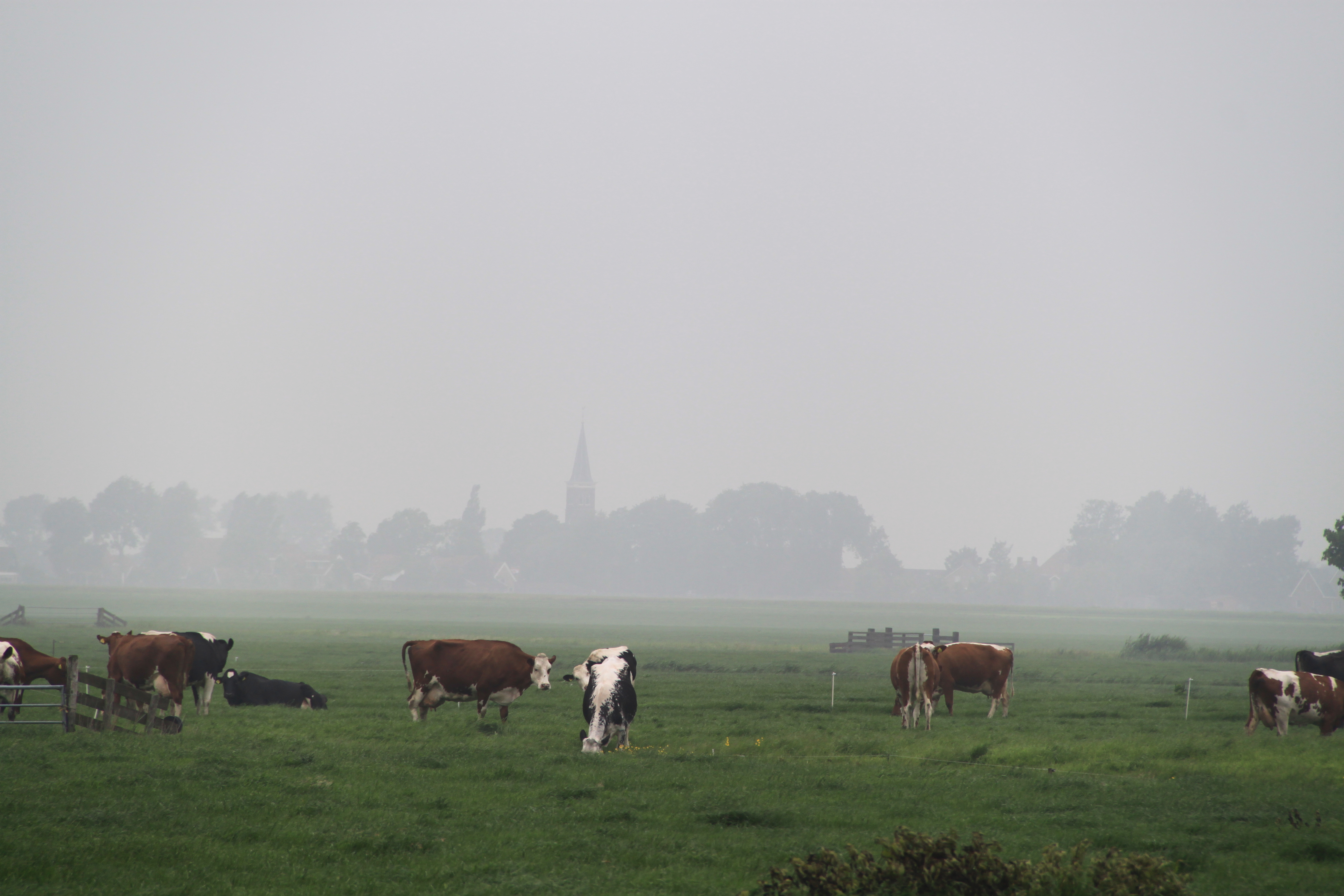 Nieuwe normen voor broeikasgassen in KringloopWijzer-versie 2023