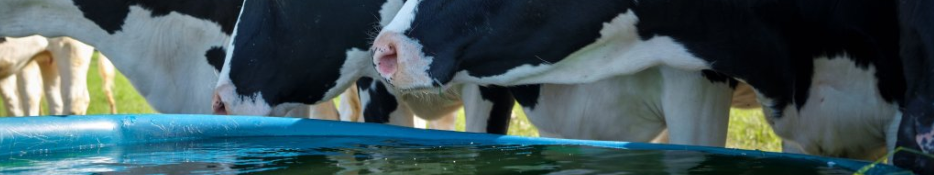 KringloopTip: Pak hittestress aan voor een goede benutting