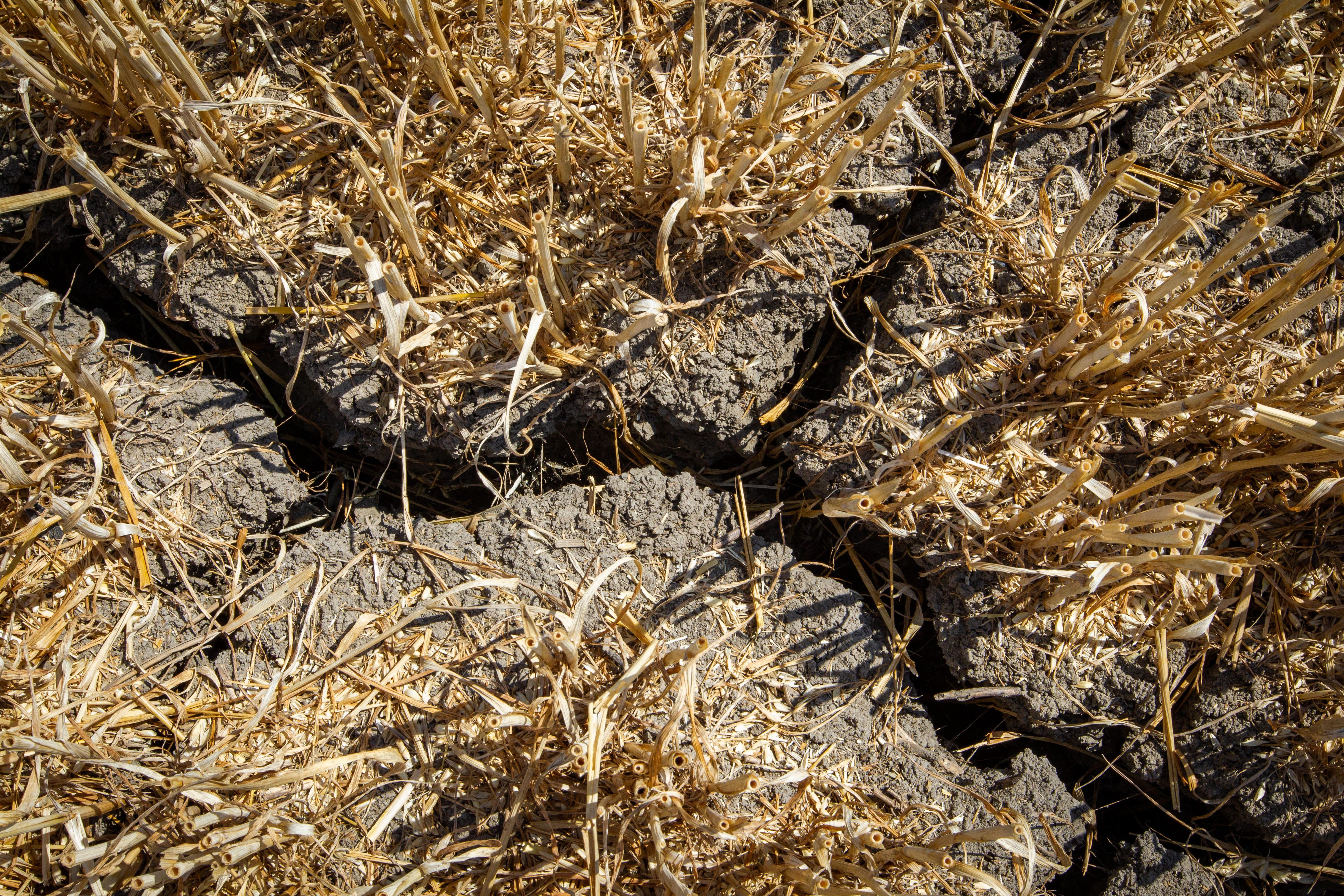 Extreme droogte is terug te zien in resultaten KringloopWijzer