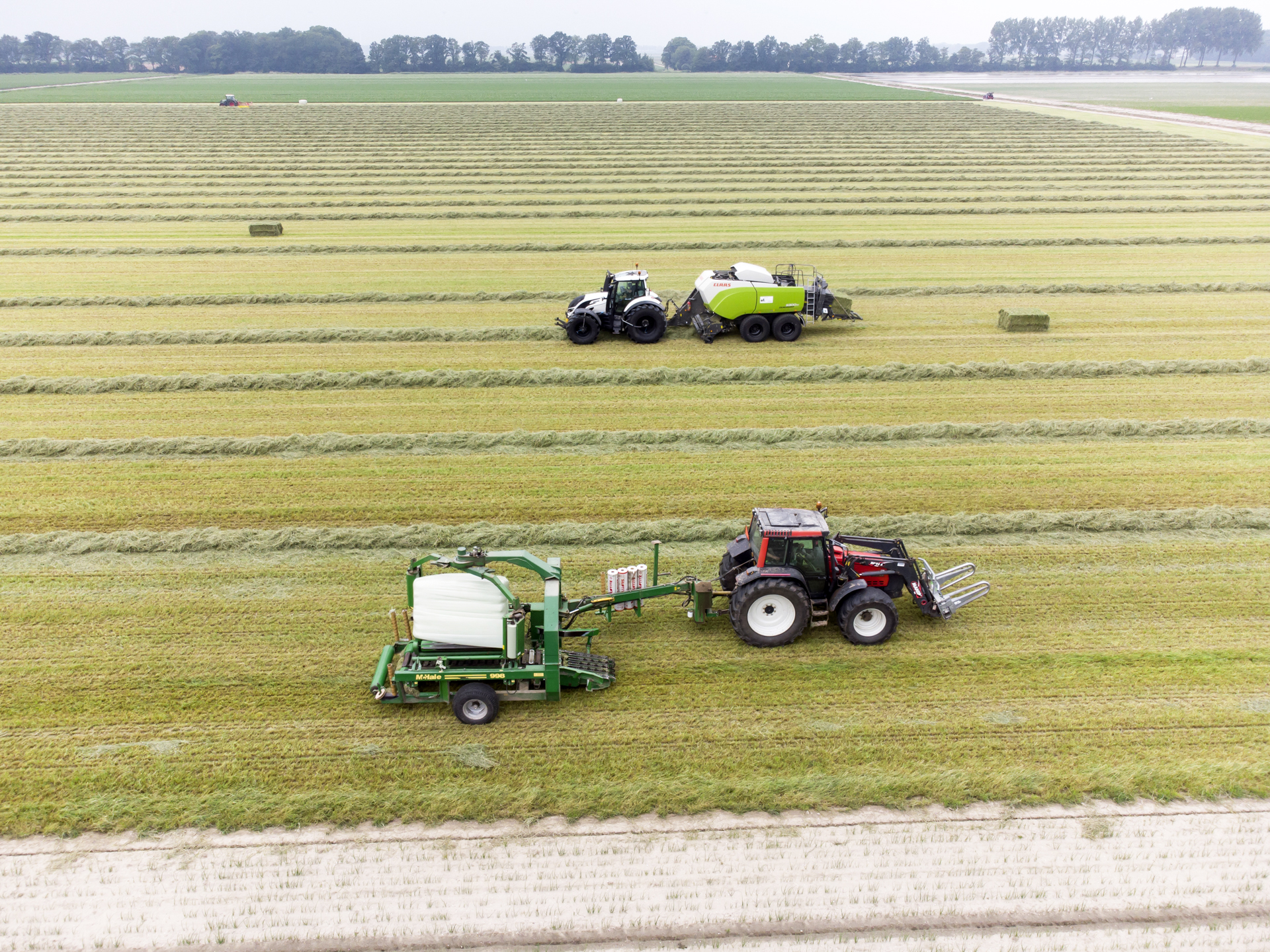 Voerefficiëntie in de melkveehouderij – een nuttig kengetal?
