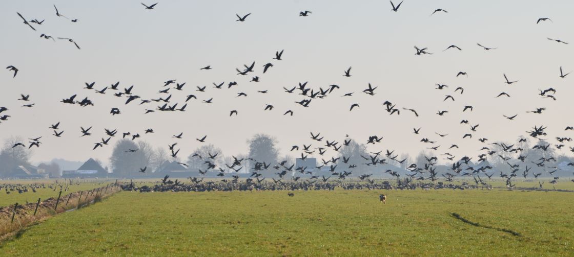Waarom kost de ontwikkeling van de KringloopWijzer veel tijd?