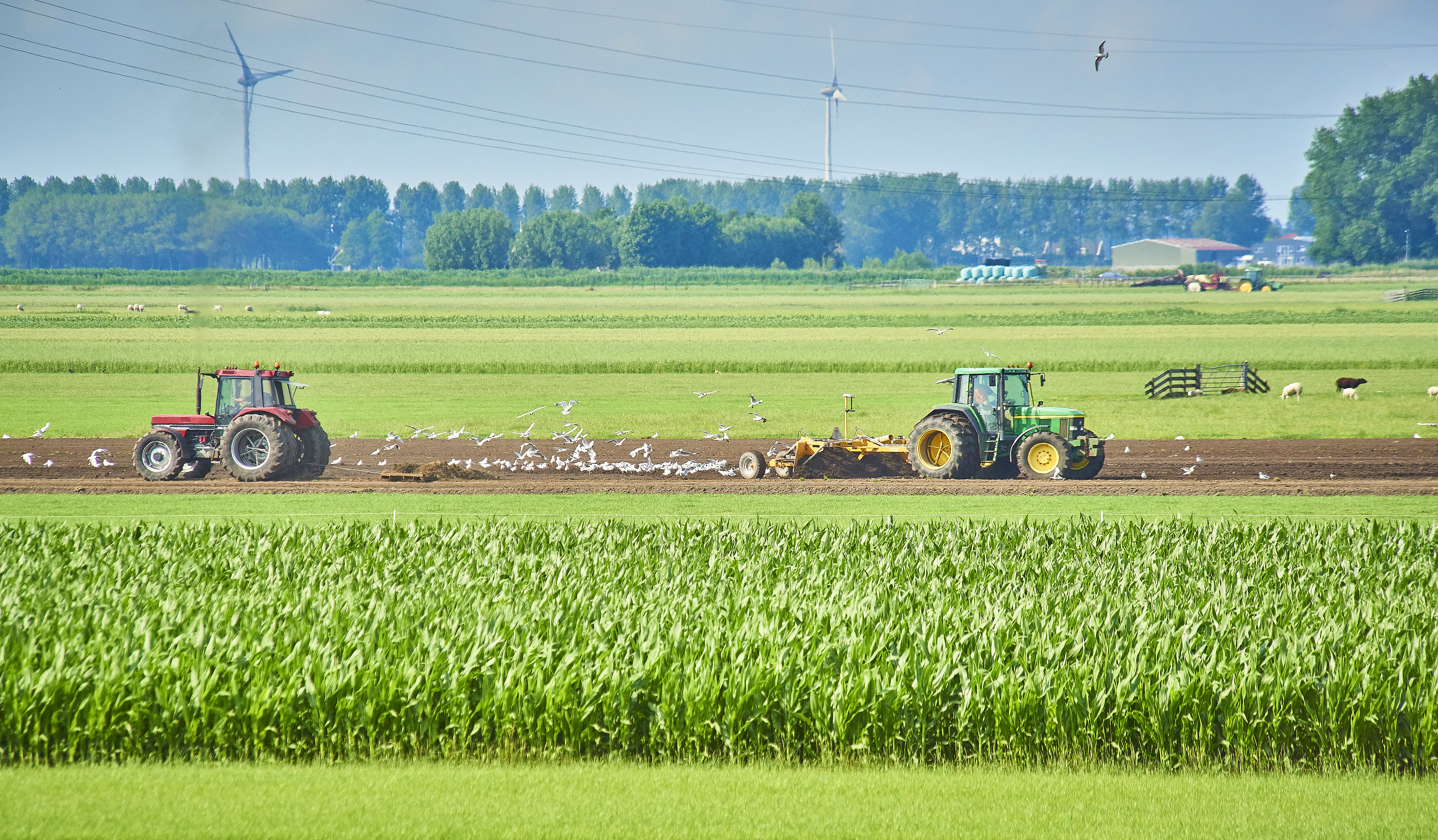 Koppeltool gewaspercelen en bodemanalyses beschikbaar in KringloopWijzer versie 2019