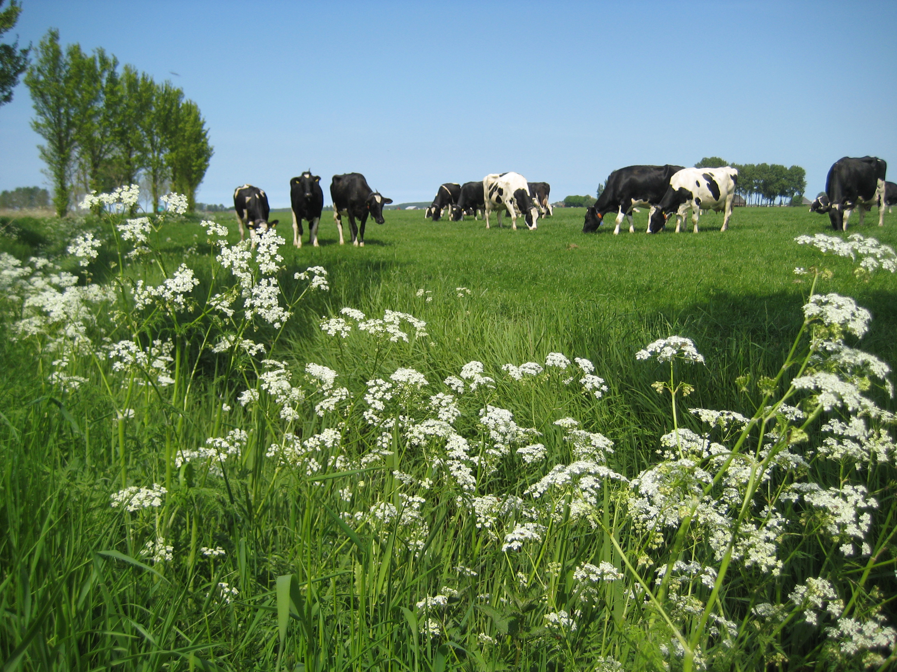 Met de KringloopWijzer natuurinclusief boeren