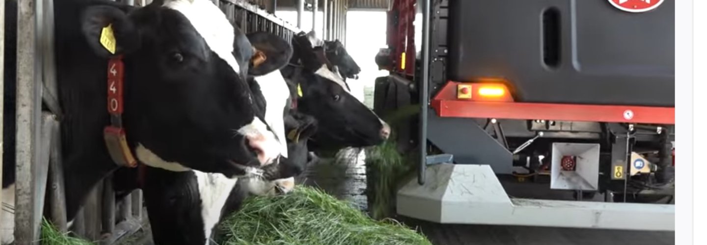 KringloopTip: Video:Effect van altijd vers gras