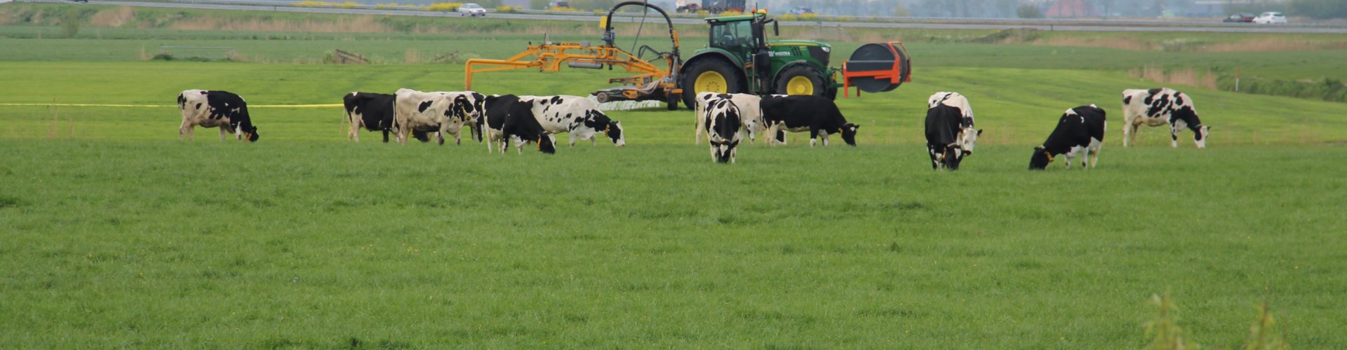 Vermindering uitstoot broeikasgassen door vers grasrantsoen verwerkt in KringloopWijzer