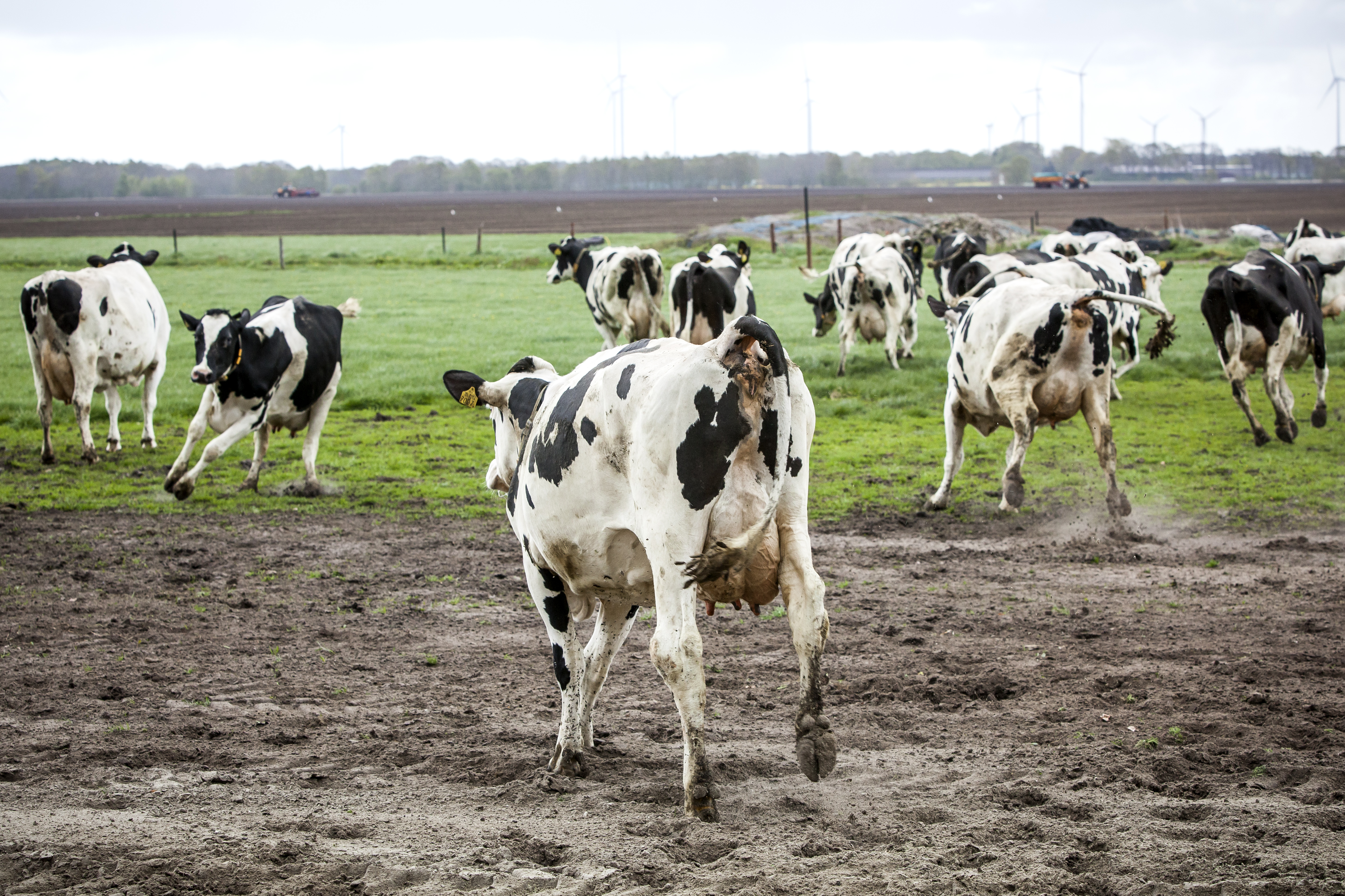 Optimalisatie KringloopWijzer 2021