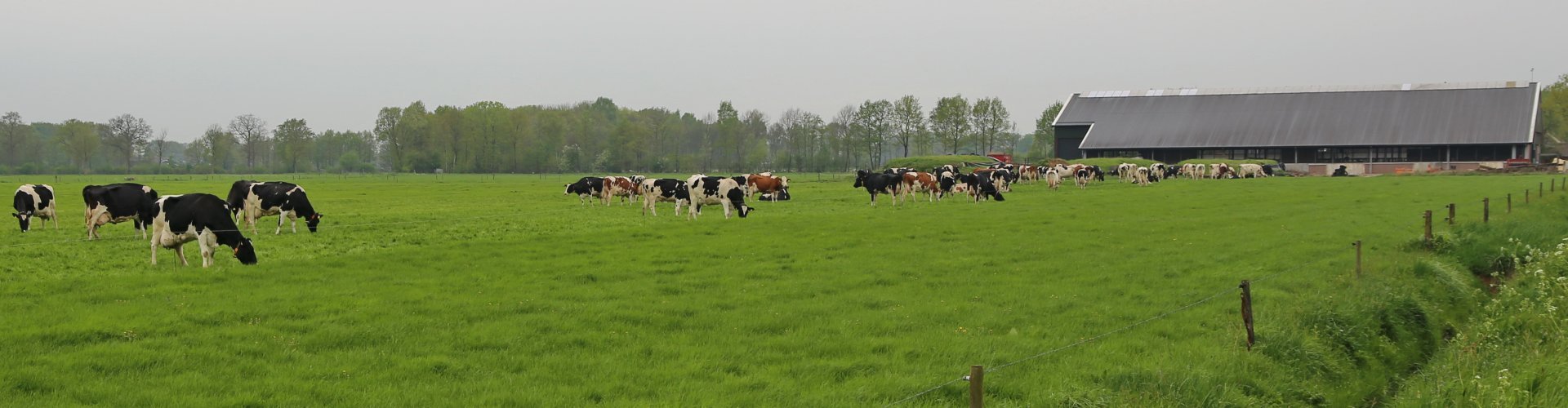 Gras en grond: goed het najaar in
