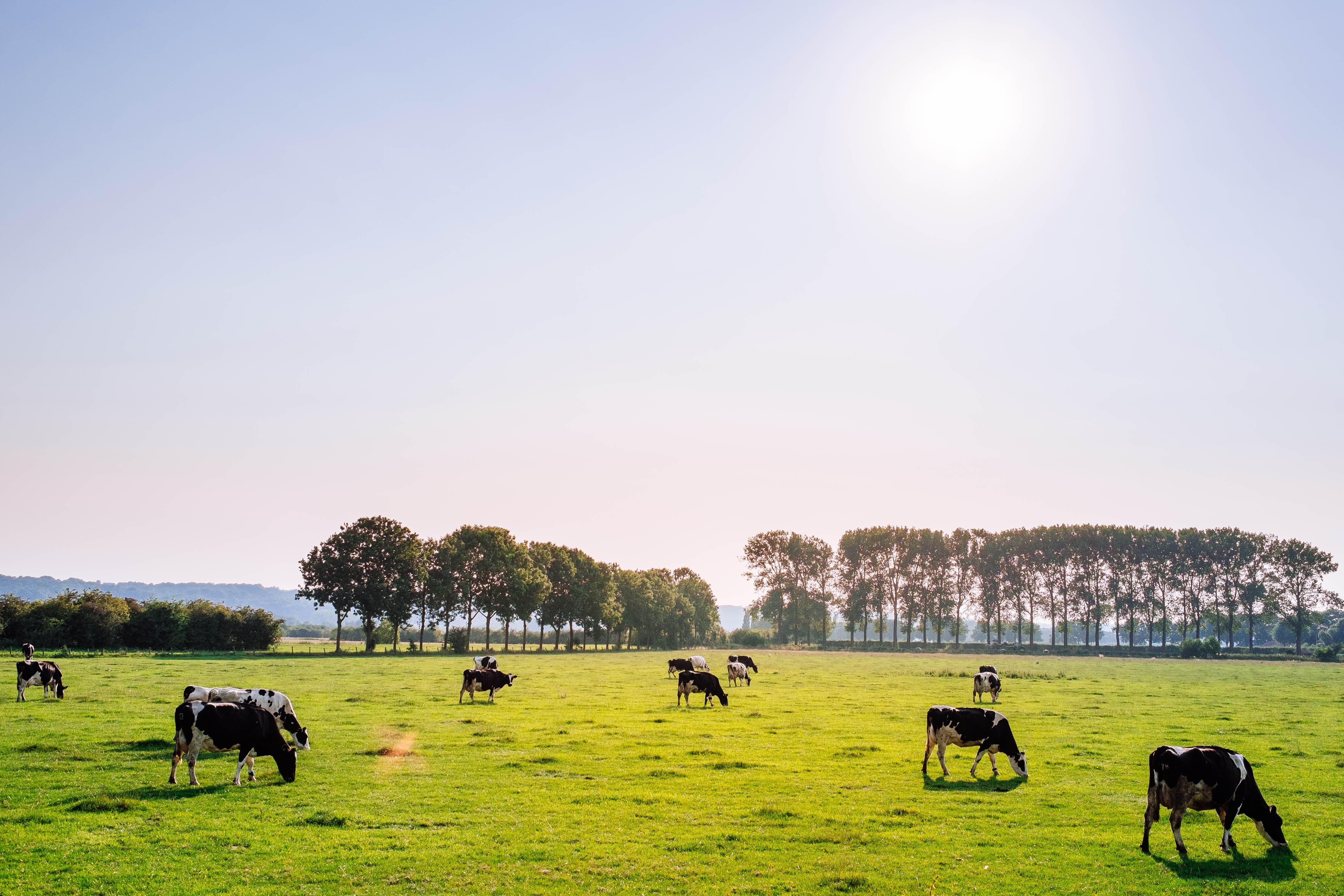 Kringloopwijzer Header
